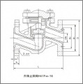 升降式衬氟止回阀